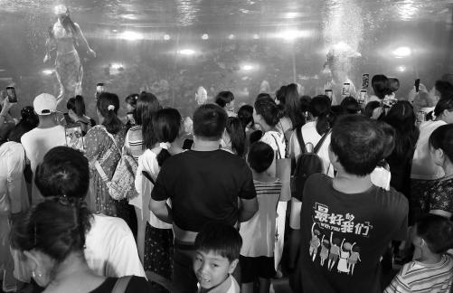 Aquarium Tour 36