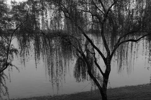 If I were in Jiangnan 37