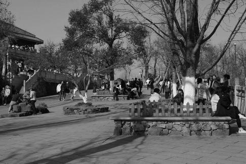 Journey to Yuelu Mountain 64