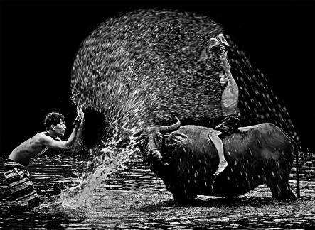 2boys play water with buffalo b12