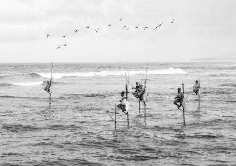 Sri Lanka Stilt Fishing 1