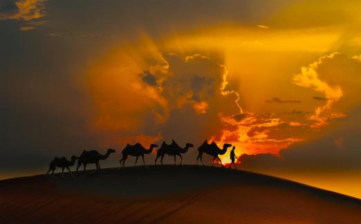 Thesetting sun slants in the desert