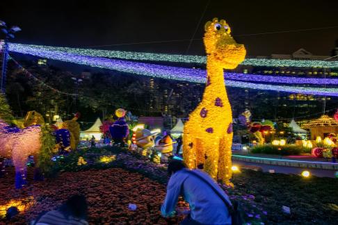  Flowers show(8)