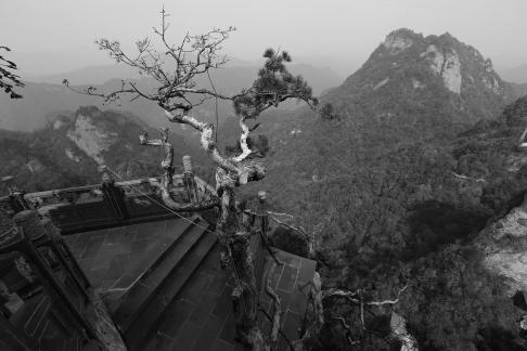 Mountain landscape 29