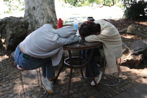 Idle Court Pillow Summer 1