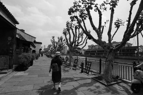 Waterfront Spring Sequence 2