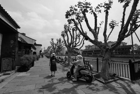 Waterfront Spring Sequence 3