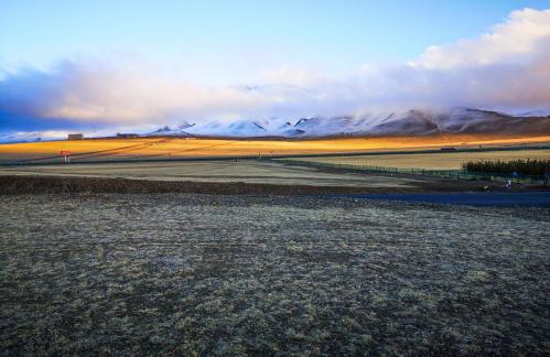 Snowtop Wilderness 11