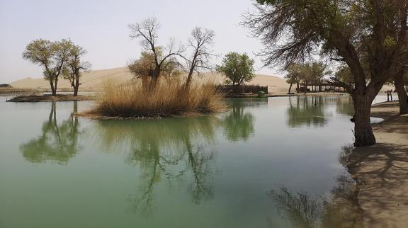 Tears of the Desert Heart 9