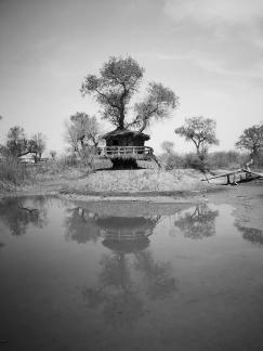 Tears of the Desert Heart 5