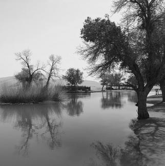 Tears of the Desert Heart 6