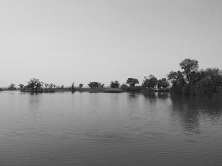 Tears of the Desert Heart 7