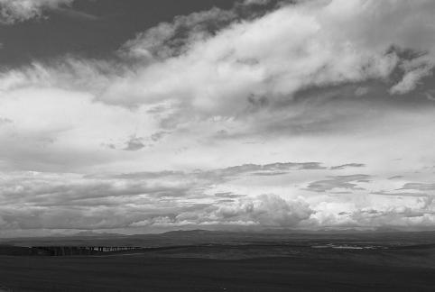 Yunmu Green Field 10