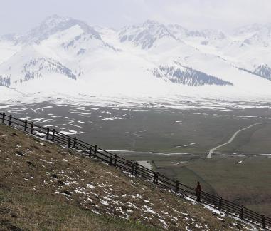 Snowy Ridge Pine Plains 8