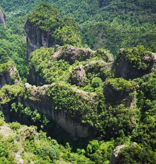 Green Wilderness and Tranquility 9