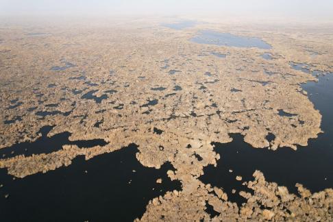 The vast expanse of reed marshes 5