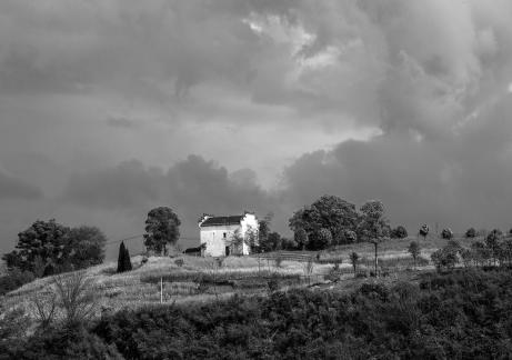 the scenery on the hillside