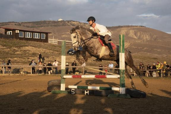 Equestrian performance-3