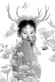 White Deer