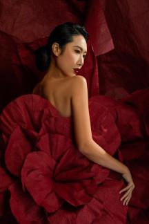 Red Flower Beauty