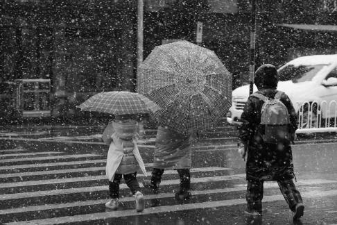 Snowflakes Dancing in the World 2
