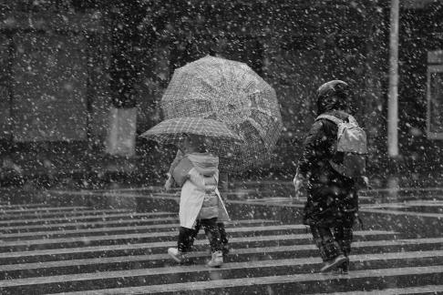 Snowflakes Dancing in the World 3
