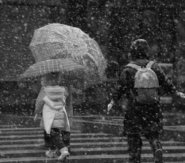 Snowflakes Dancing in the World 4