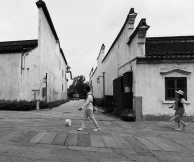 Water Town Stories 46