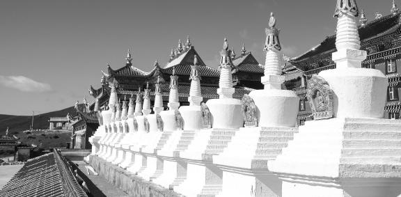 Human Buddhist Kingdom 5