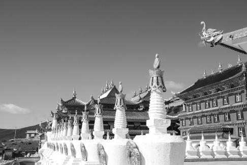 Human Buddhist Kingdom 6