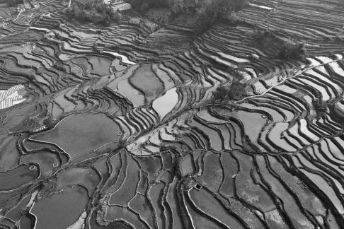 Terraced fields scenery 38