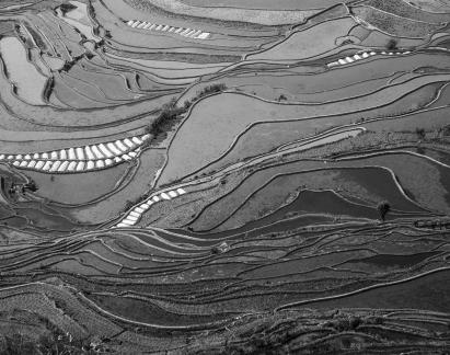 Terraced Fields Holy Scenery 14