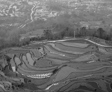 Terraced Fields Holy Scenery 15