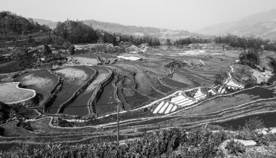 Terraced Fields Holy Scenery 16