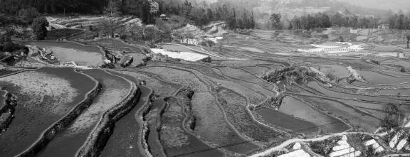 Terraced Fields Holy Scenery 17