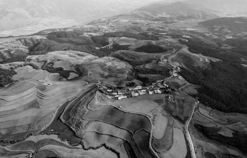 Green Valley Golden Steps 17