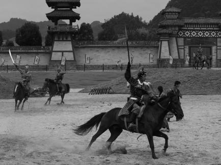 Equestrian performance 9