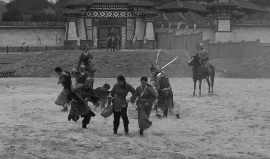 Equestrian performance 11