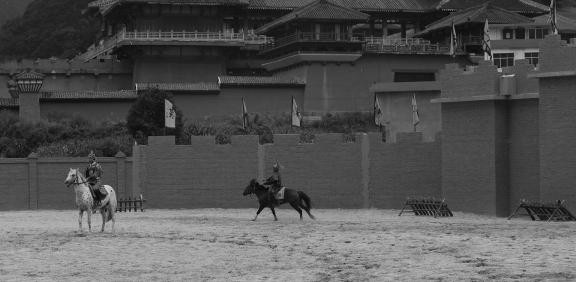 Equestrian performance 12