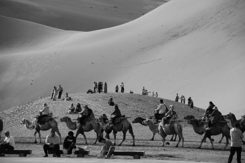 Desert Journey 13