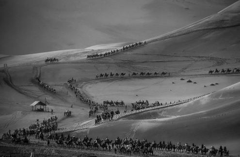 Desert Journey 14