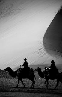 Desert Journey 16