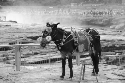 By the Yellow River 8