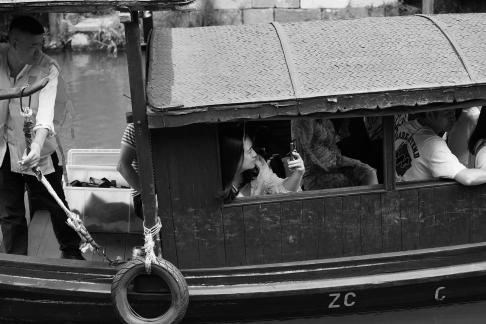 Impressions of Jiangnan 68