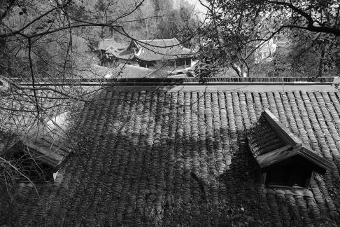 Journey to Yuelu Mountain 9