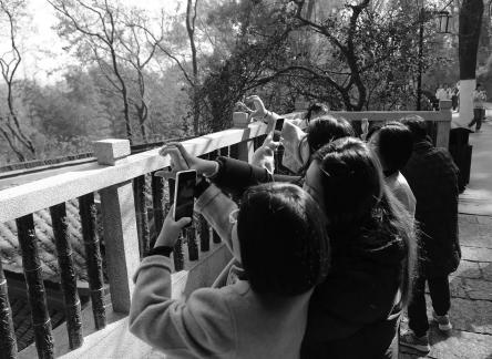 Journey to Yuelu Mountain 11