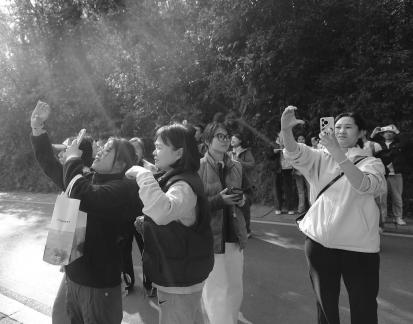 Journey to Yuelu Mountain 12