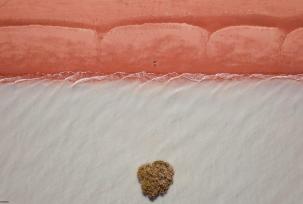 Mare terra