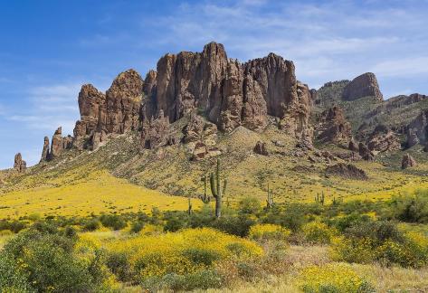Spring In The Superstitions