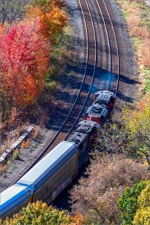 Train Running Through Fall Foliage